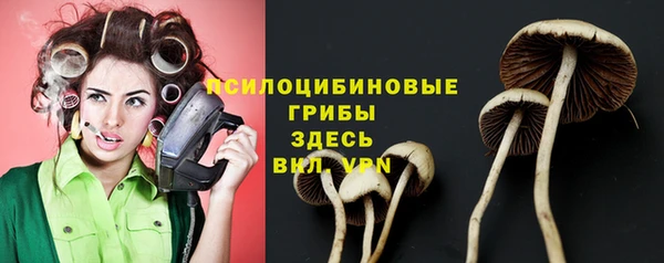 MDMA Premium VHQ Белокуриха