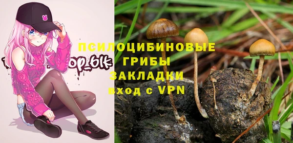 MDMA Premium VHQ Белокуриха
