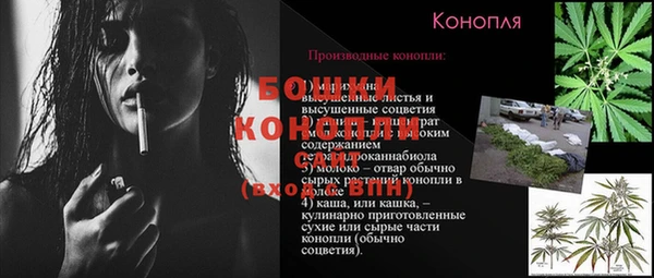 гидра Белоозёрский