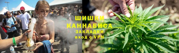 гидра Белоозёрский