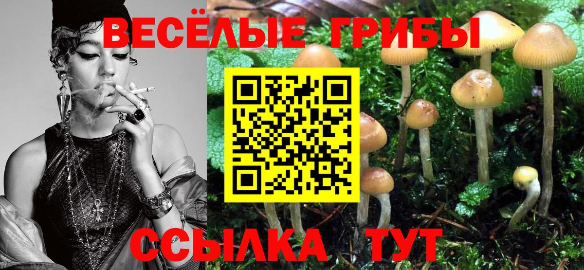 Воскресенск  Псилоцибиновые грибы Magic Shrooms  Псилоцибиновые грибы ЛСД  Вход с VPN 