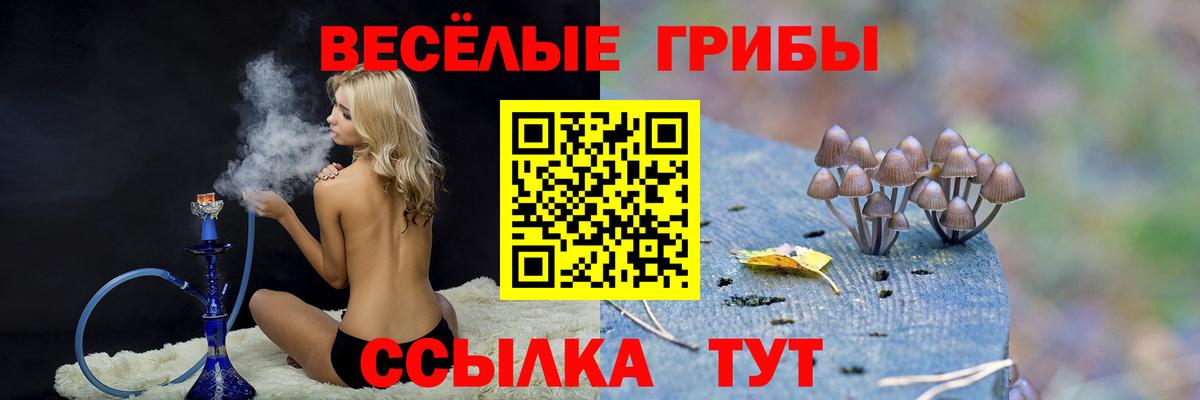 Галлюциногенные грибы Psilocybe Воскресенск